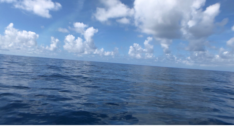 明石は流れないと渋いです