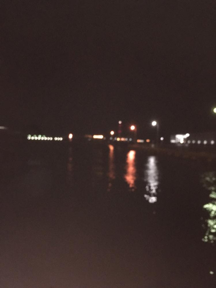 満潮前の短時間釣行