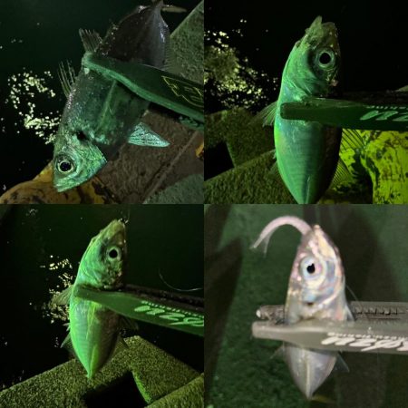 加重変化の違和感アタリ