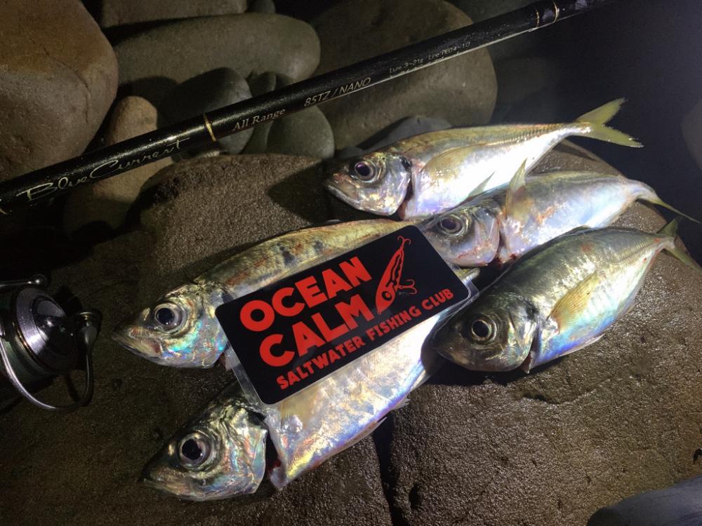 フロートゲーム