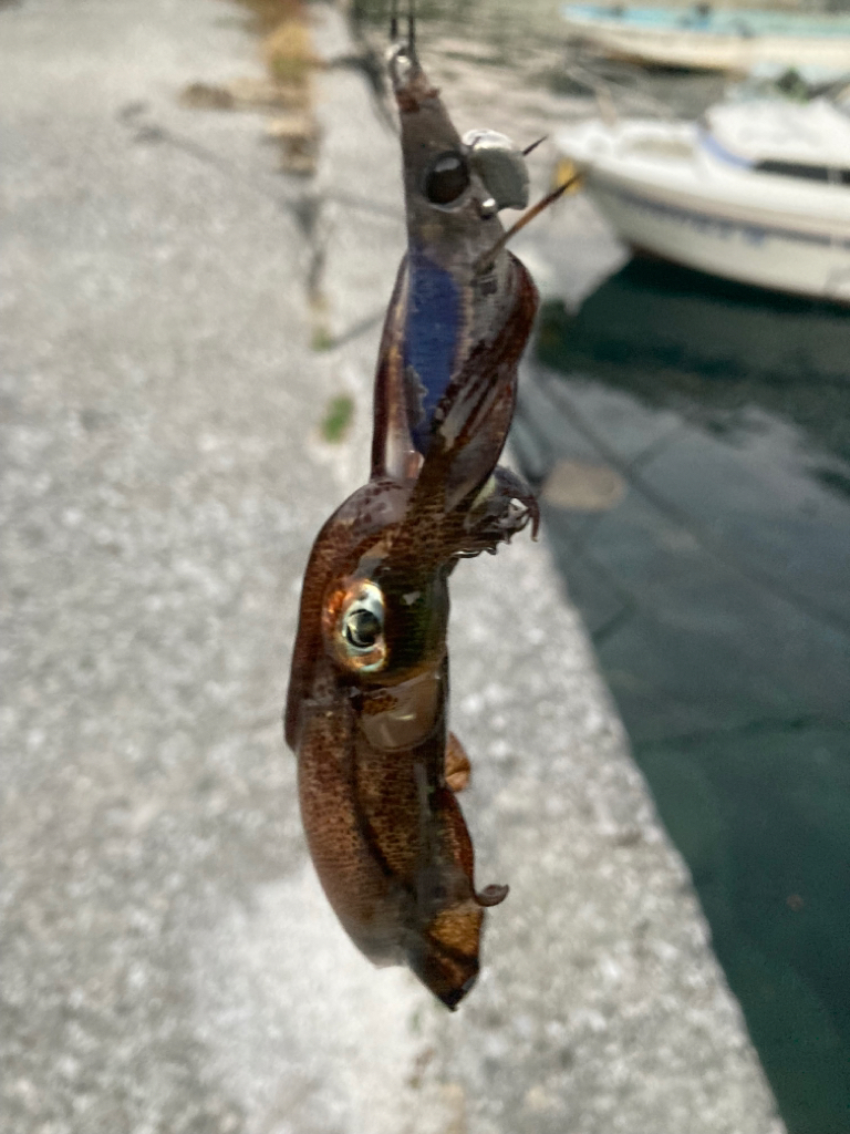 エギングランガン