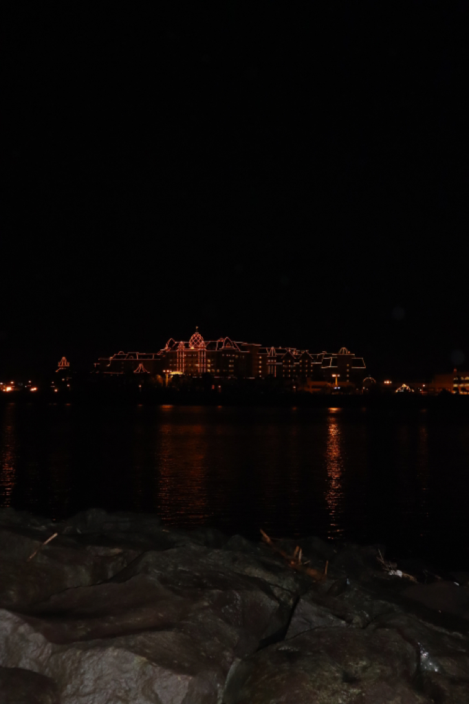 シーバス狙いも・・・