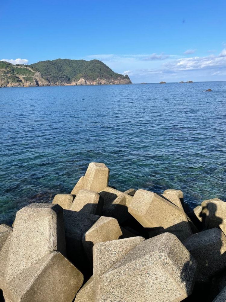 好調日本海エギング、数から型になりました