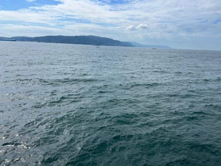 久しぶりの青物！！