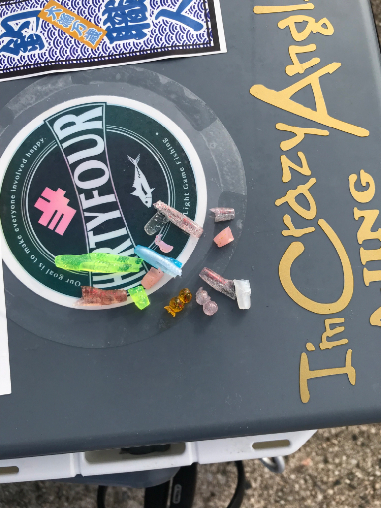 早朝尺鯵狙い….