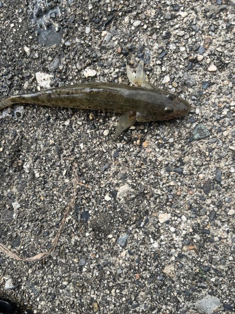 三重県、小物5目