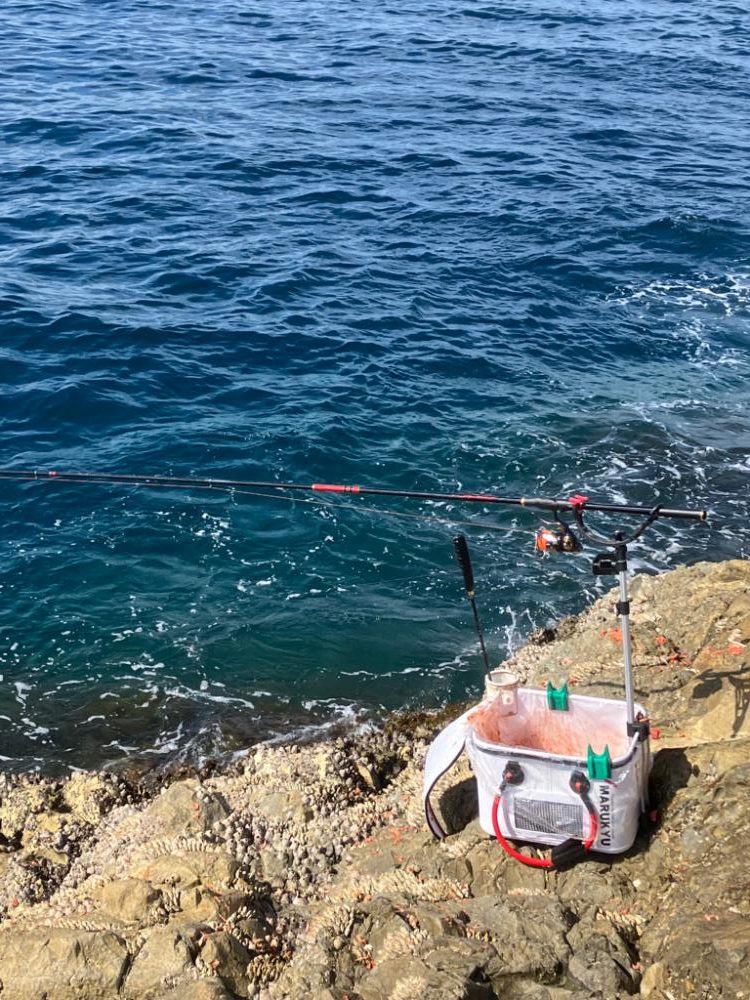 秋磯でフカセ釣り