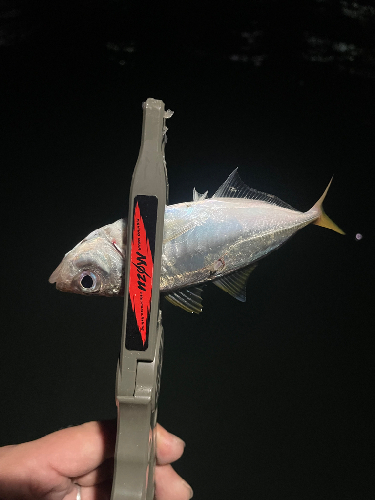 久しぶりのホームグラウンド