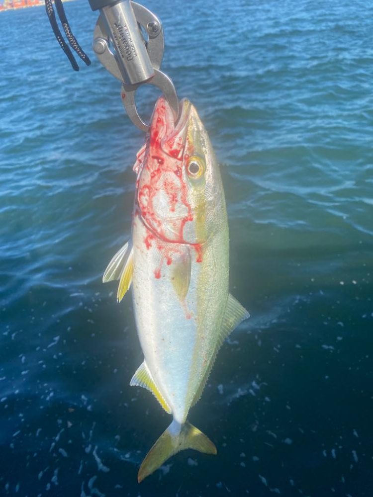 SWコスモ弍番隊〜ジャークな日々〜