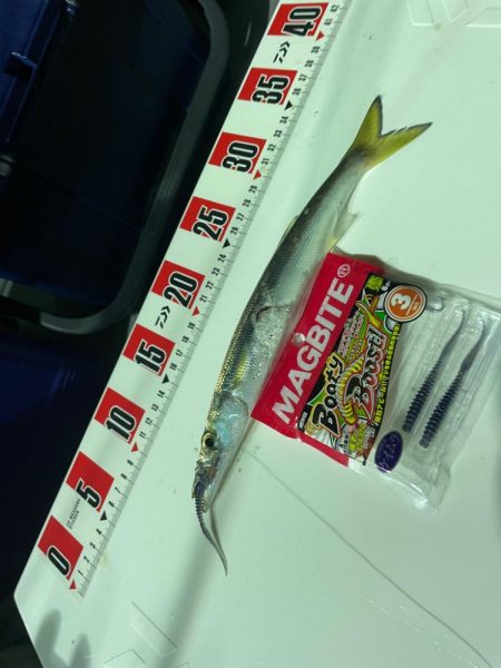 ティップランバチコンリレー⛴♬