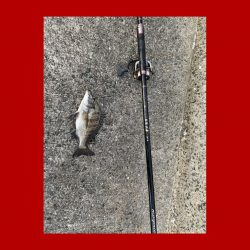 寒暖差がありましたが朝は比較的暖かい日になりました。