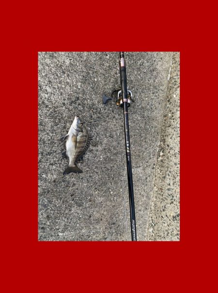 寒暖差がありましたが朝は比較的暖かい日になりました。