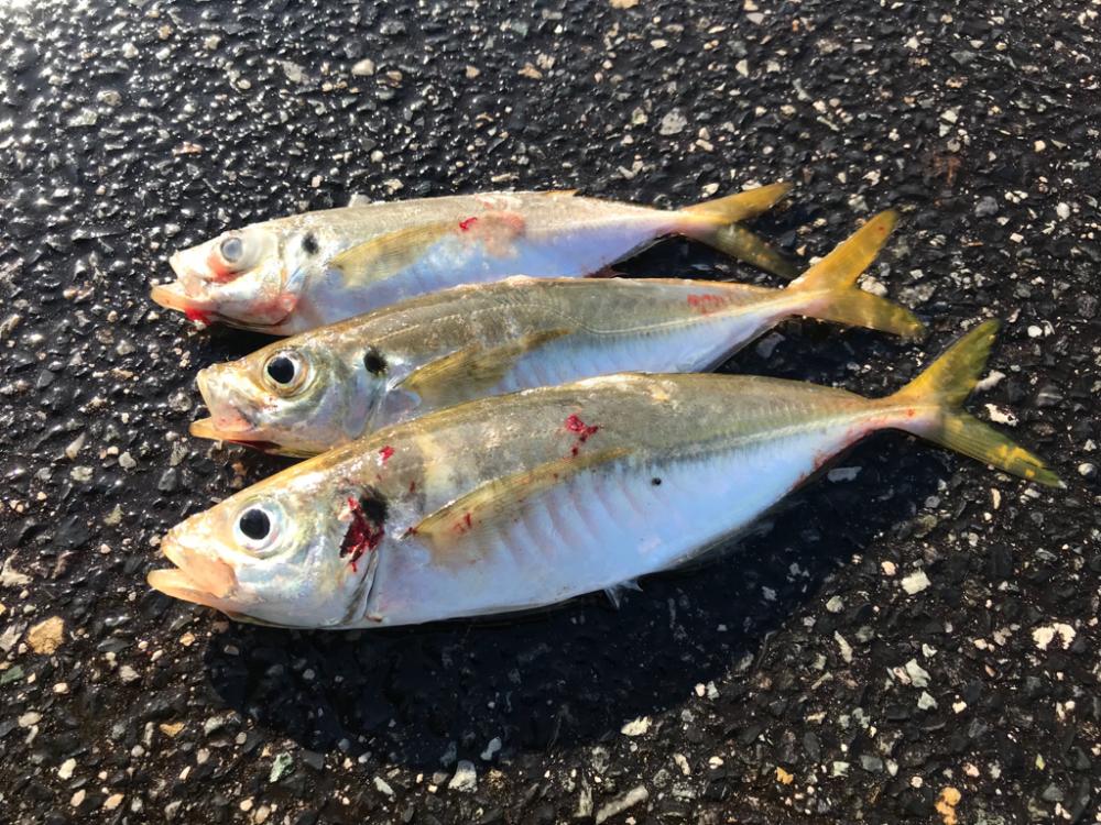 週末ルーティン