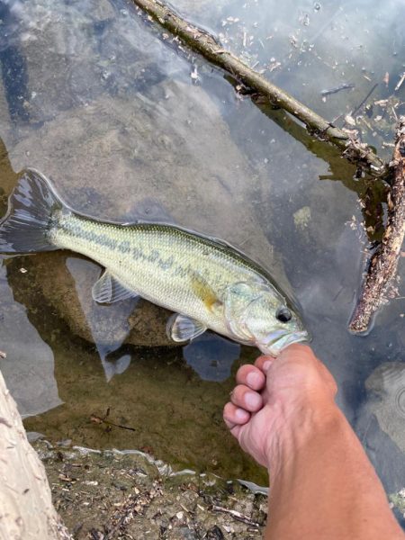 今日も今日とて