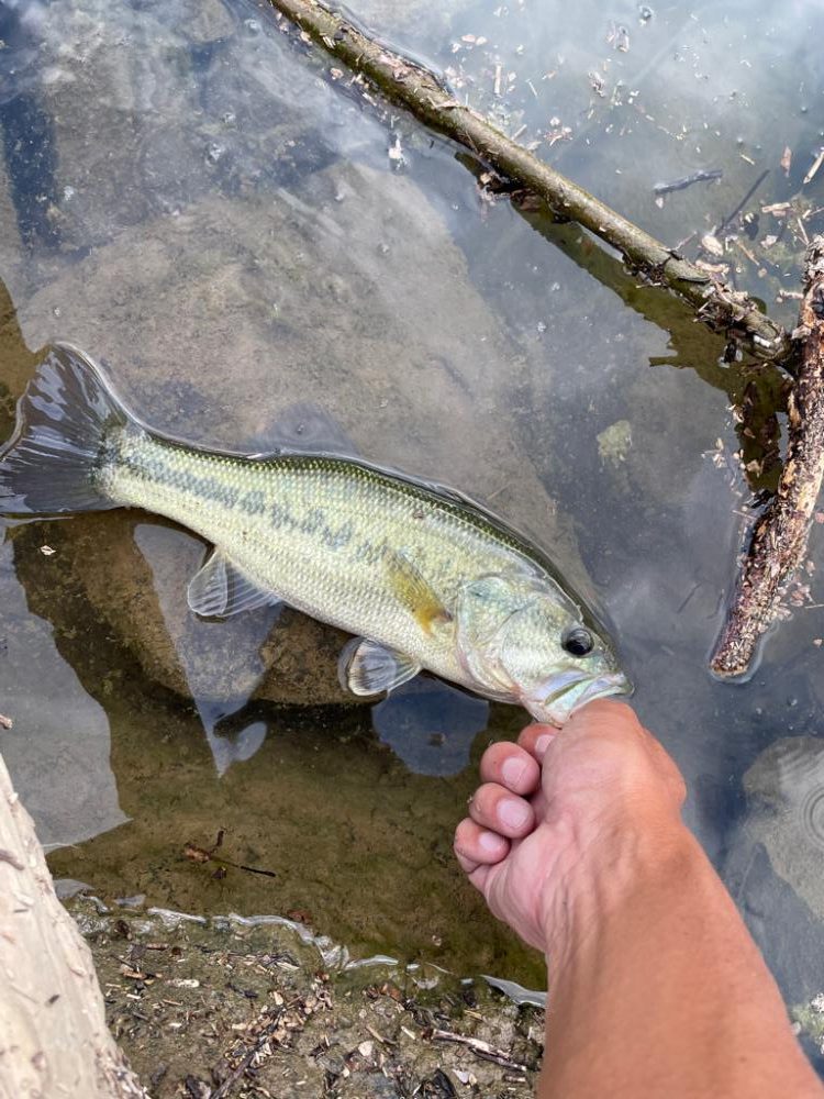 今日も今日とて