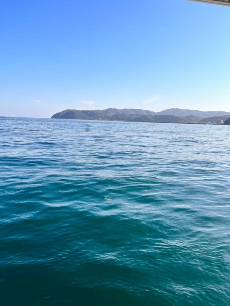 イカしてハゲしてアレもして