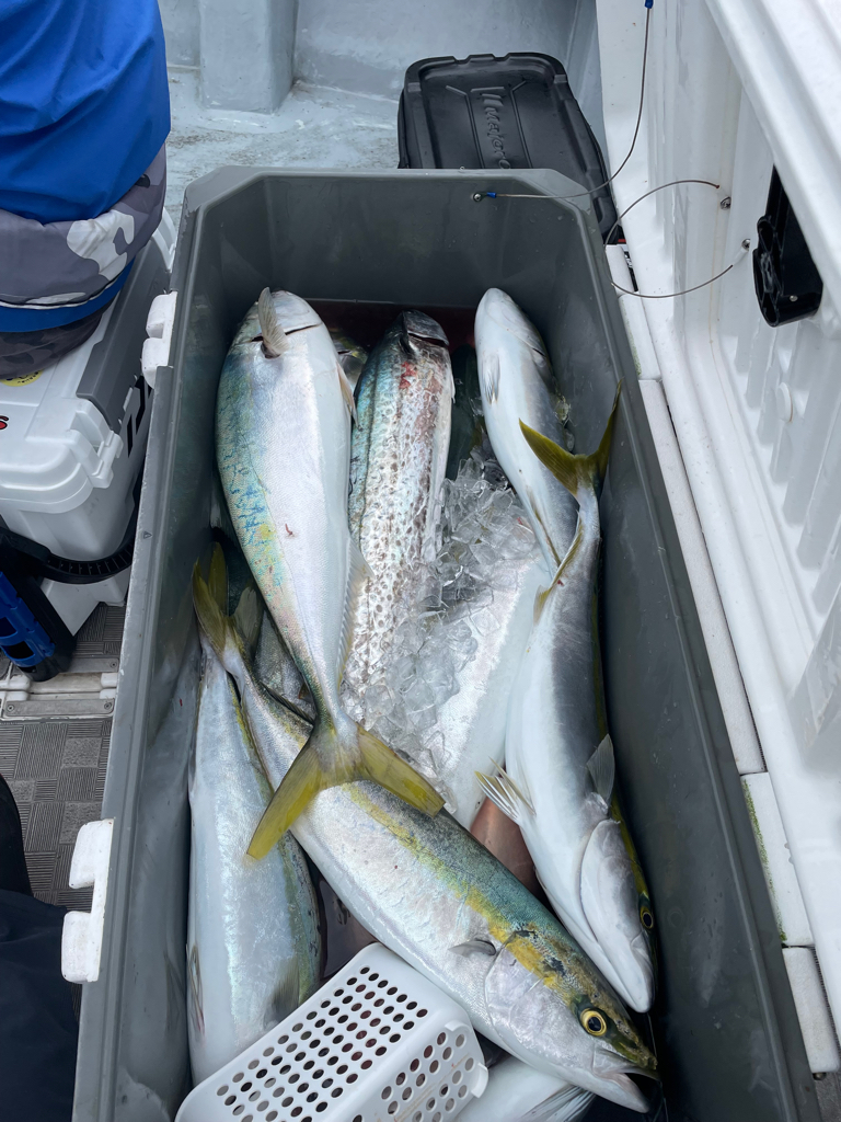 明石沖青物ジギング