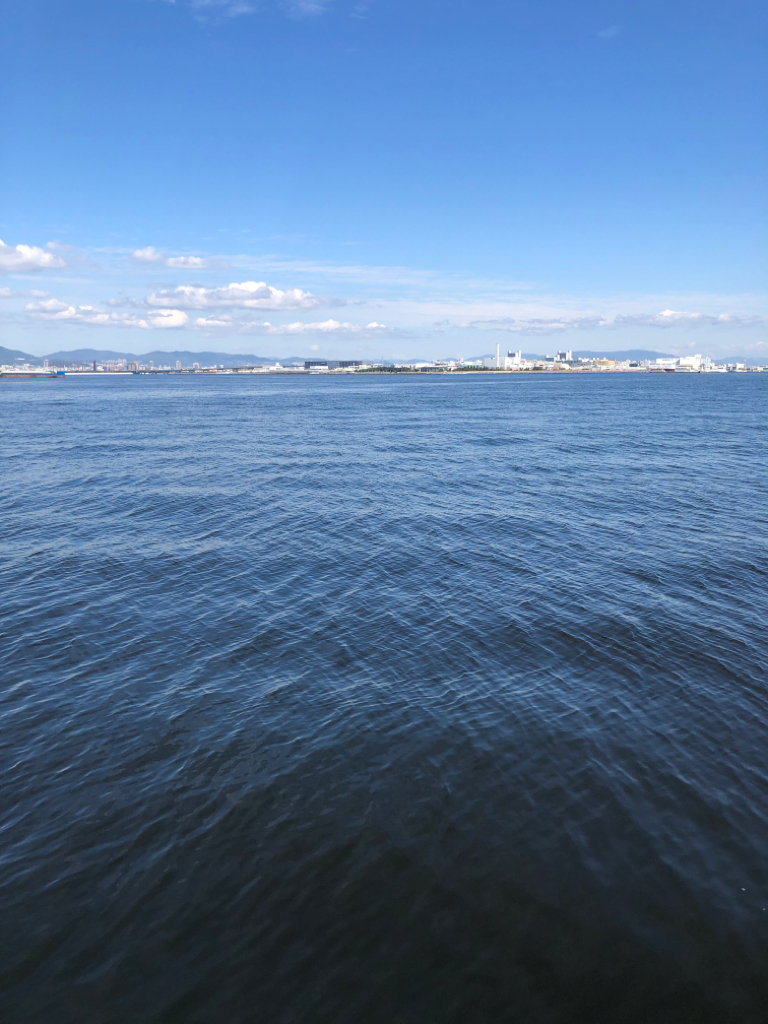 豆アジ、中サバいい感じ…飲ませのエサ困らず！