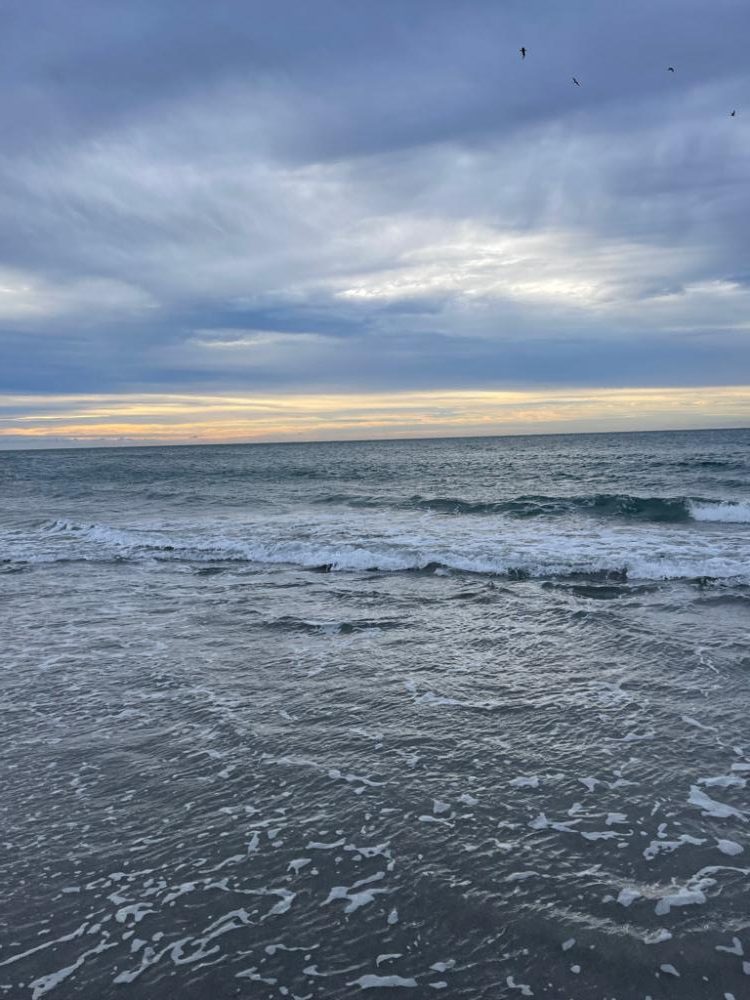 鳥とナブラがハンパない！