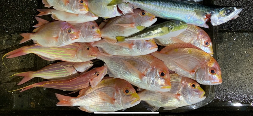 久しぶりのボート釣行!