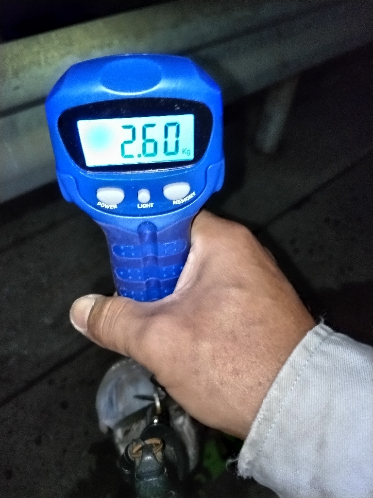 市内港湾部にてシーバスゲット!