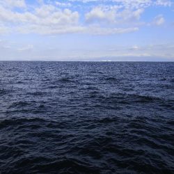 ショアジギングでハマチ