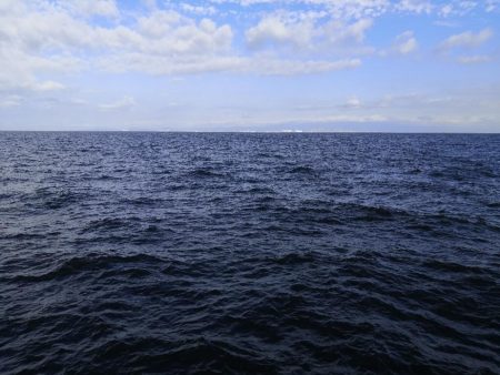 ショアジギングでハマチ