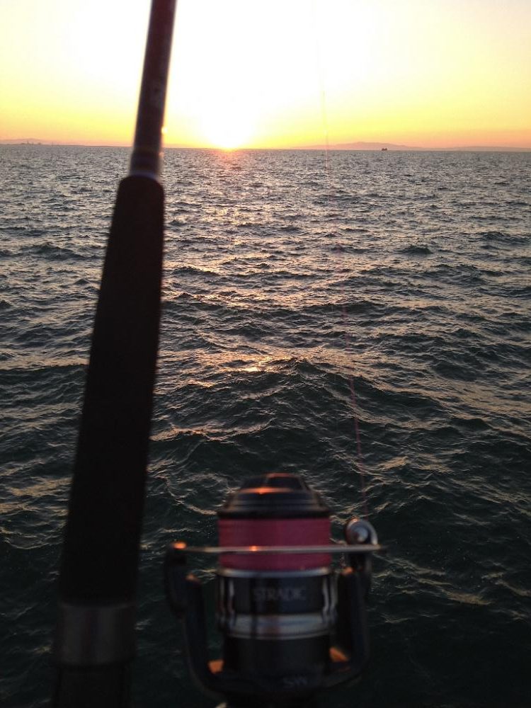 太刀魚4ヒット1バラシ