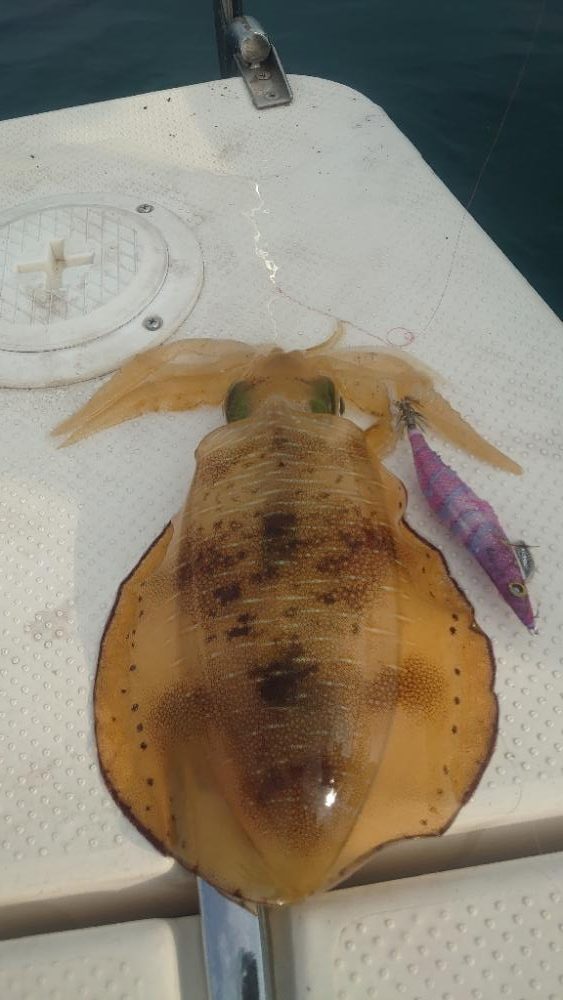 久しぶりのメンバーでボートエギング