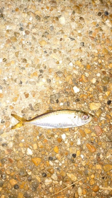 風速体感4m以上