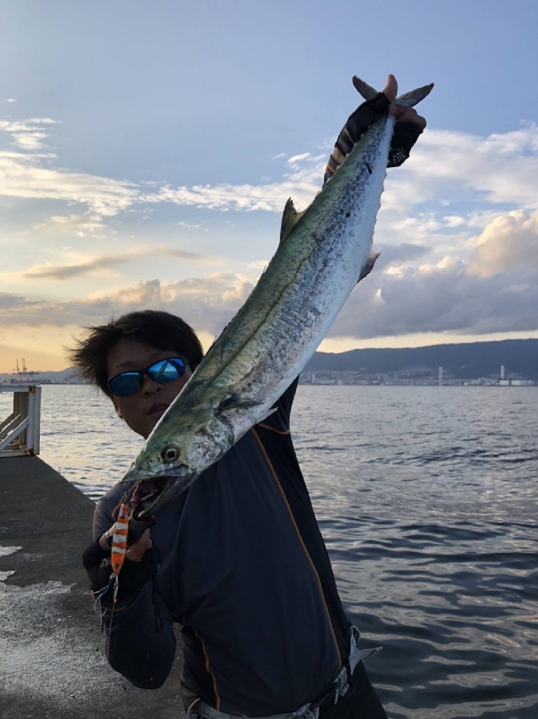 武庫川一文字サワラ