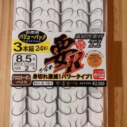 終盤の鮎釣り　飛騨川と白川