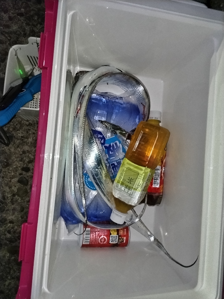 タチウオ楽しい