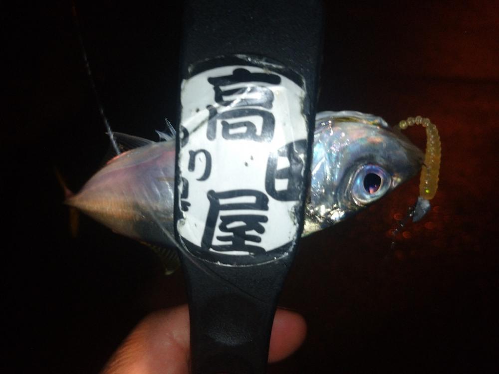 やっちまったな～😂