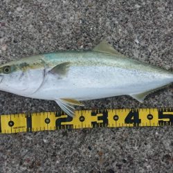 2022播磨遠征第2回