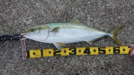 2022播磨遠征第2回