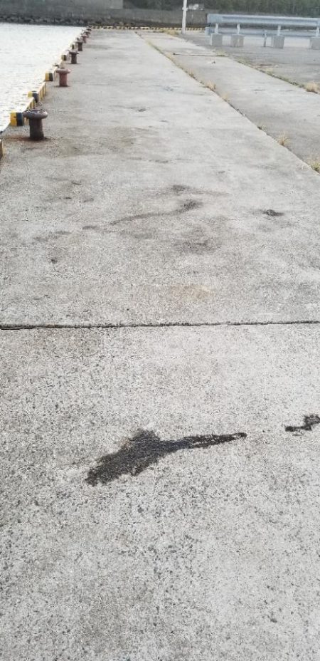 エギング　風を避けて