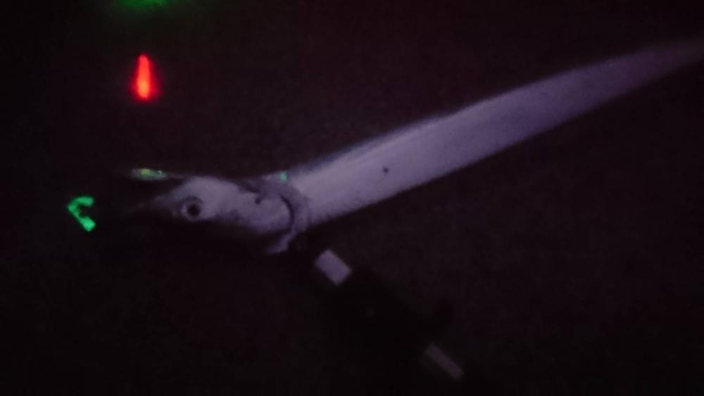 年内最終釣行かも知れないので…