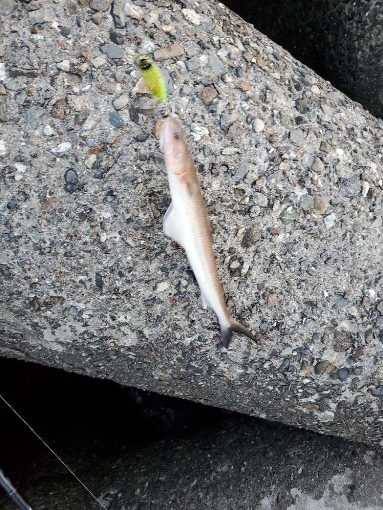 誘い方の問題？