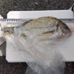 大塩海岸の投げ釣り