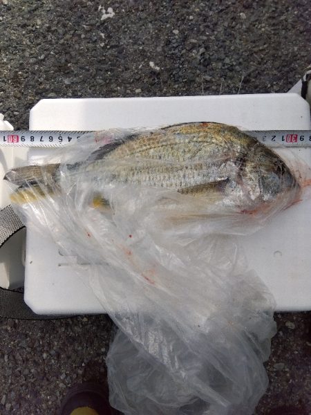 大塩海岸の投げ釣り