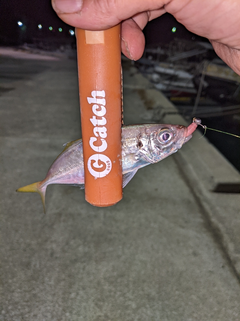 アジジジジング