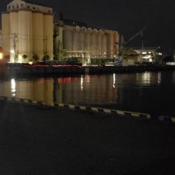 アジング@貝塚周辺