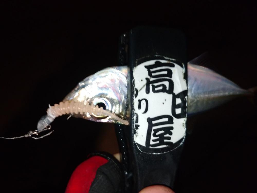 めっちゃ寒い🥶