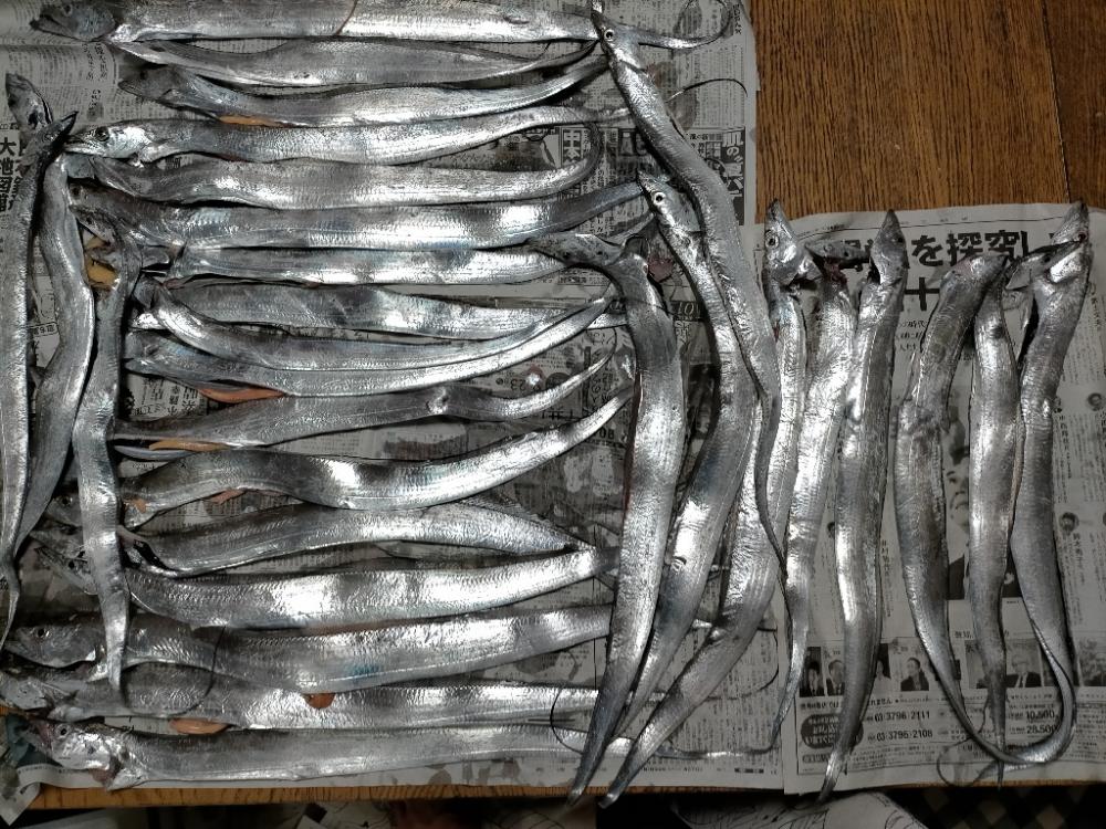 爆釣Day.でした!!