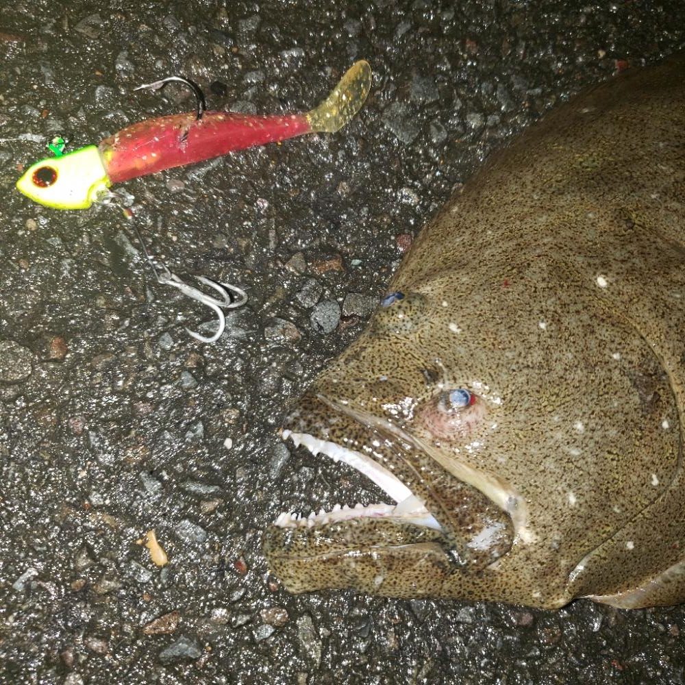 鉄板の赤金ワーム