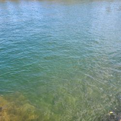 いまいちでした