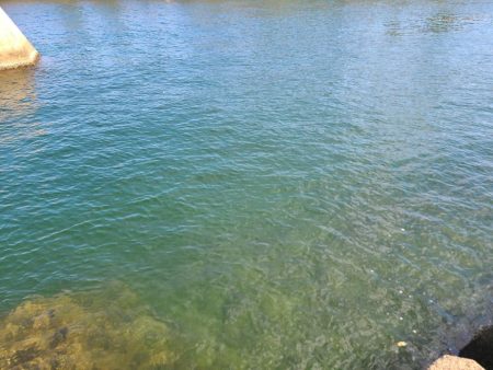 いまいちでした