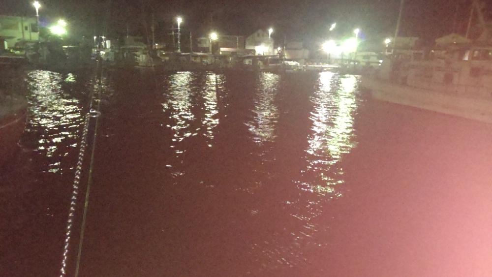 アジ探し@小島周辺