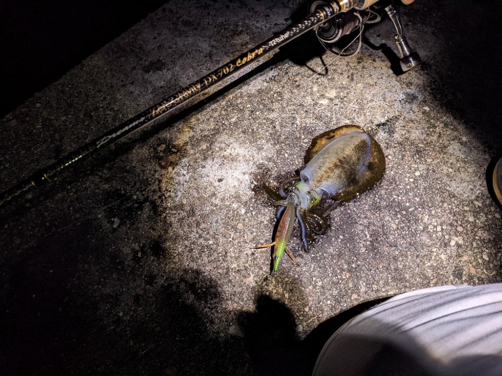 爆風の中6杯(-x-*)…